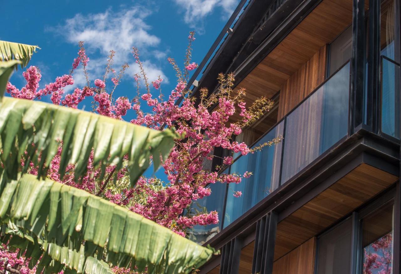 Yakamoz Erhai Hotel Dali  Bagian luar foto